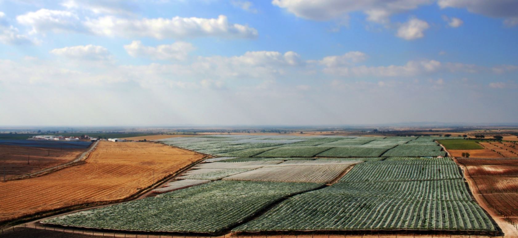 Vale da Rosa relanza su actividad tras la aprobación de su plan de recuperación