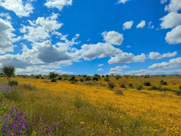 El frenazo del Supremo a Valgrande agrieta el plan del Ayuntamiento de Alcobendas 1 Merca2.es Valgrande Merca2.es