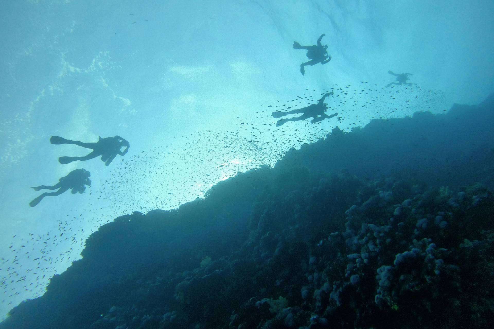 Orizontes.com; experiencias de viaje inolvidables para los más exigentes