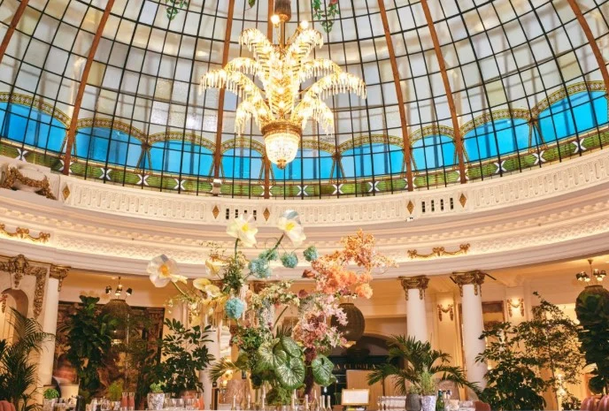 Marcas de bebidas optan por combinar estética y arte en sus productos prémium