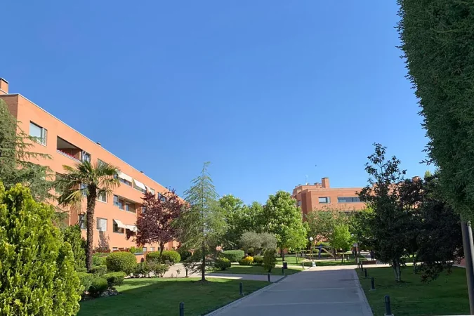 Opulencia y contraste social