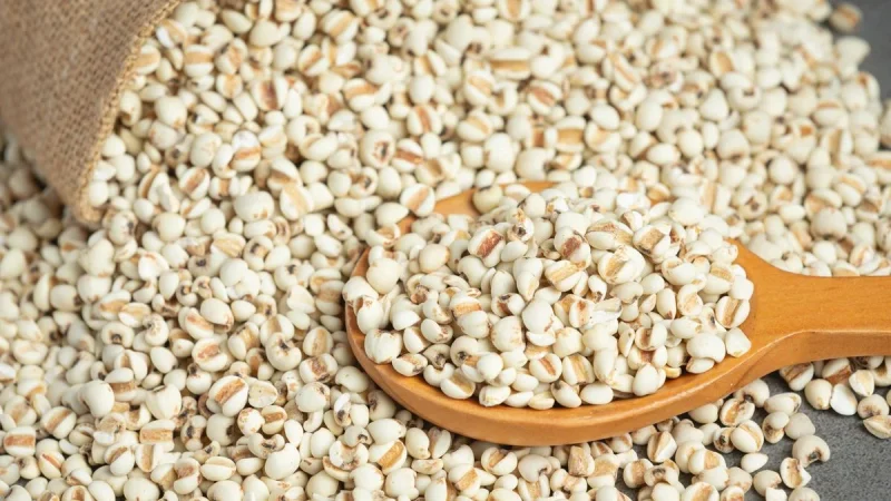 Gracias a Lidl y este snack vas a adelgazar seguro y ser la envidia este verano 10 Merca2.es La fiebre del verano: palitos de mijo de Lidl para un refrigerio que se supone que debe ayudarte a perder peso