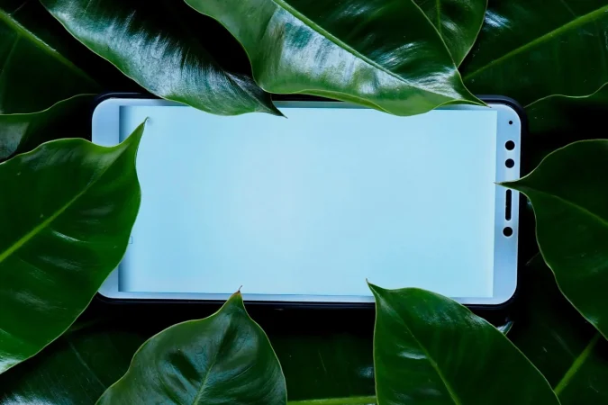 ¿Por qué es importante liberar espacio en WhatsApp?