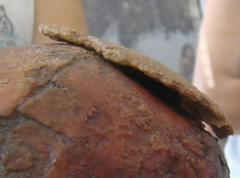 El 'hombre de Orce': el fósil que podría cambiar la historia de la evolución en Europa y que la ciencia oficial se niega a reconocer El 'hombre de Orce': el fósil que podría cambiar la historia de la evolución en Europa y que la ciencia oficial se niega a reconocer