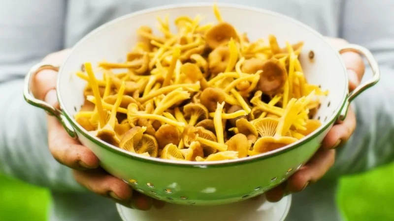 ¿Sabías que este común alimento te llena de energía y vigor para combatir el hastío estival? 45 Merca2.es 2 Brochones de champiñóns en marinada