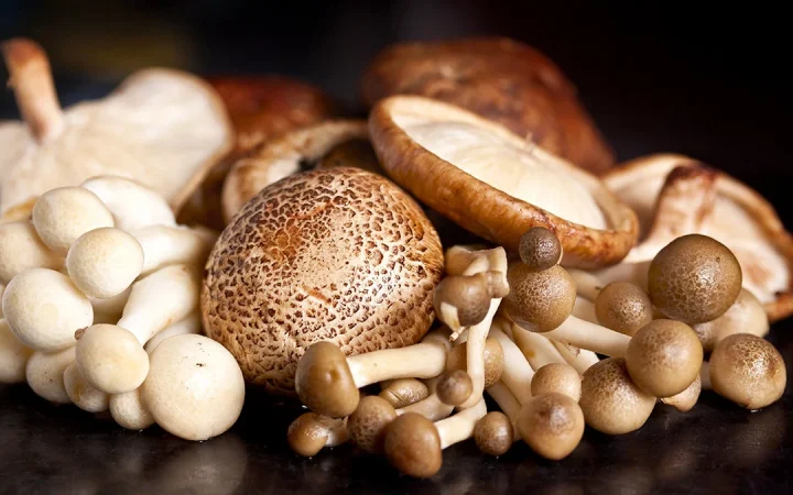 ¿Sabías que este común alimento te llena de energía y vigor para combatir el hastío estival? 38 Merca2.es El champiñón: más que un simple acompañamiento