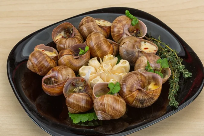 escargot Merca2.es