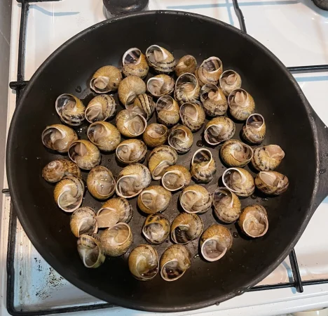 primer plano de los caracoles cargols de prades Merca2.es