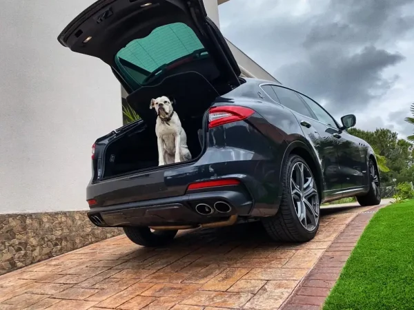 El presente más dulce de Mario Casas