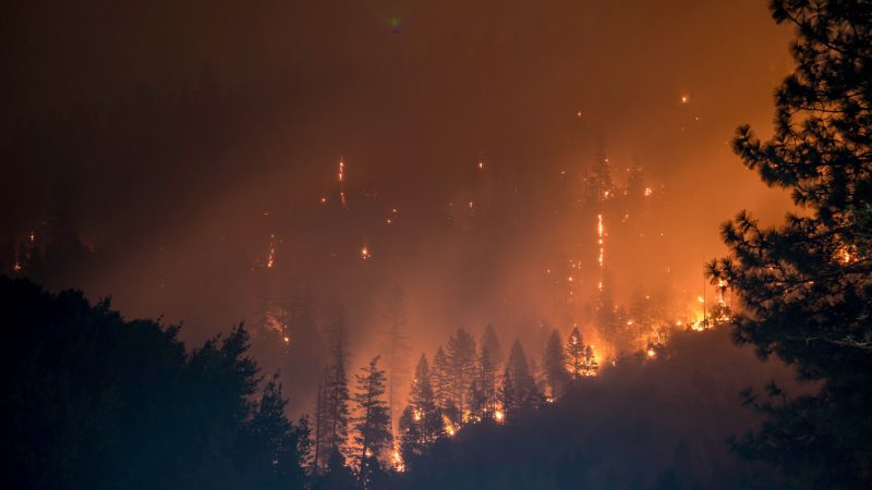 De récord: tras el verano más tórrido en 64 años, la AEMET anuncia un otoño inusualmente cálido 42 Merca2.es El impacto en incendios y el riesgo latente