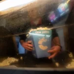 Yelmo acumula sanciones y denuncias, pero no revisa la normativa sobre ingreso de alimentos en salas