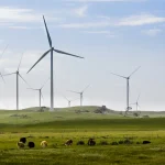 Iberdrola se mantiene sólida en redes y renovables en los últimos nueve meses de 2025