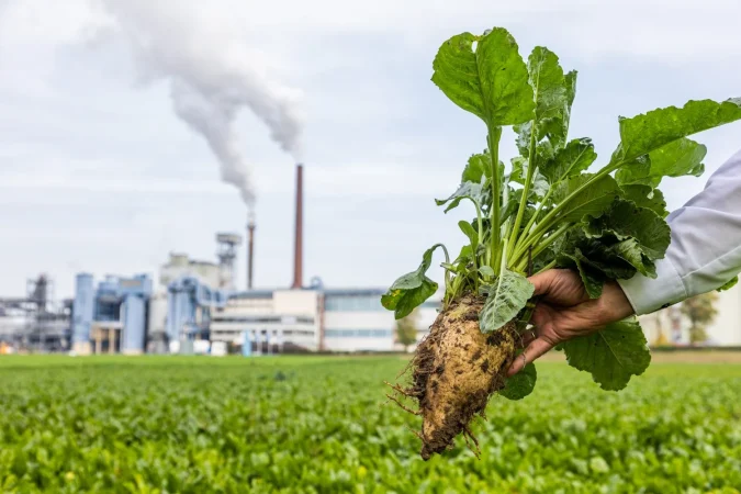El azúcar sigue lastrando a Suedzucker: pérdidas operativas y caída de precios afectarán 2026 3 Merca2.es SUEDZUCKER