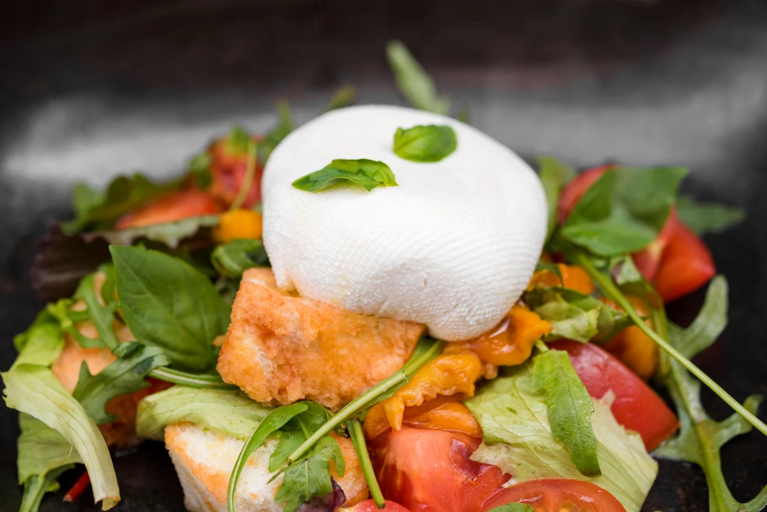 Puede sonar a broma, pero la advertencia de Magda Carlas sobre la ensalada con burrata tiene una base matemática y nutricional sólida. Fuente: Freepik
