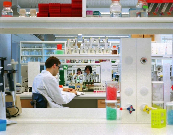 AstraZeneca: el acuerdo con EE. UU. para el TrumpRx es positivo para el valor 2 Merca2.es Ven poco margen de mejora en los fundamentos, ya que las acciones cotizan con una prima sustancial respecto al sector. AstraZeneca.