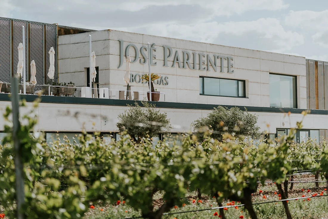 Pariente invertirá 9,5 millones para su expansión en Ribeiro, Bierzo y en Pariente Vivo