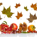 Estas son las frutas que debes tomar para pasar un otoño pleno de salud 