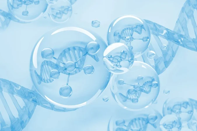 El músculo que determina cuánto vas a vivir (y no es el corazón) 4 Merca2.es Cuerpo y alma Merca2.es