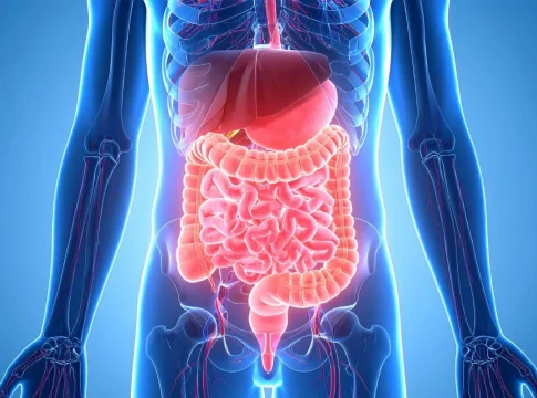 El diálogo del cuerpo Neurogastroenterología y bienestar interior