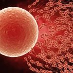 Dr. Braulio Peramo Moya, líder mundial en fertilidad: “Los años más fértiles son hasta los 25-26; a partir de los 35 comienza a descender paulatinamente.”