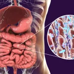 No es solo la edad: descubre tu “edad metabólica” y cómo tu intestino revela tu vitalidad real.