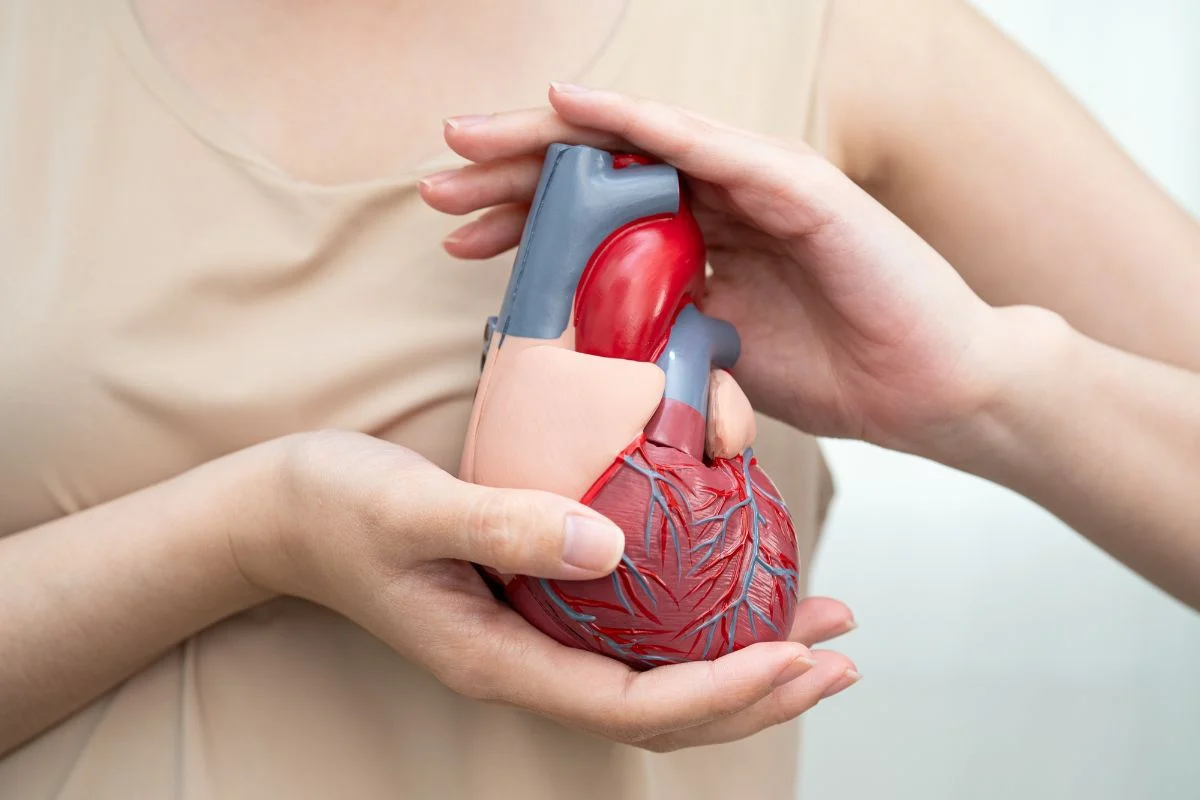 corazón