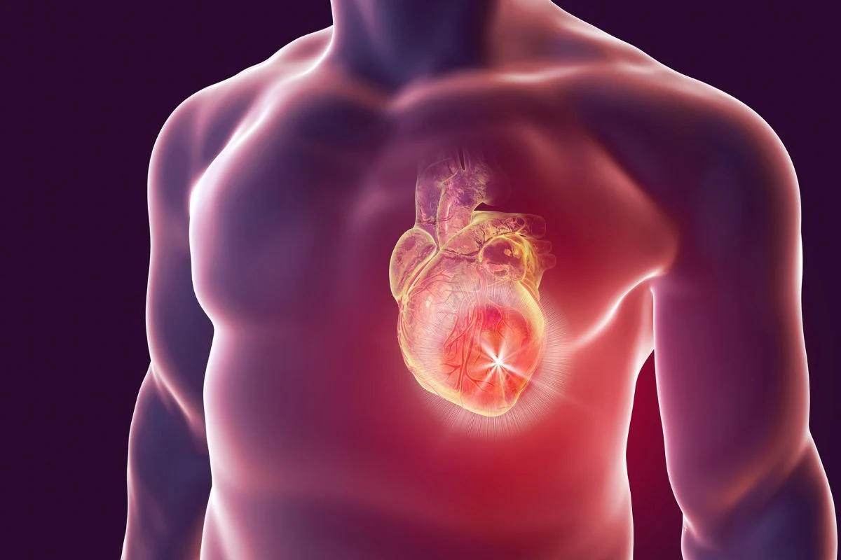 Claves de la salud cardiovascular
