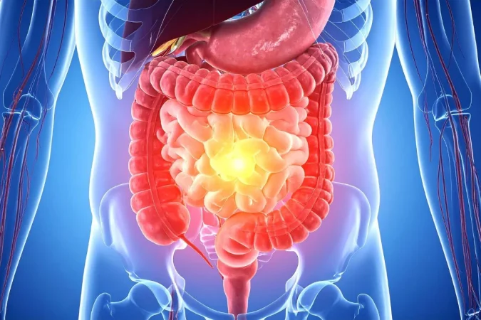 Marta León (44), experta en microbiota y envejecimiento saludable: “Cuidar la microbiota hace que el envejecimiento sea más suave, más natural y sobre todo, más lento” 1 Merca2.es microbiota