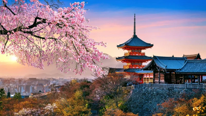 Viaje a Japón.