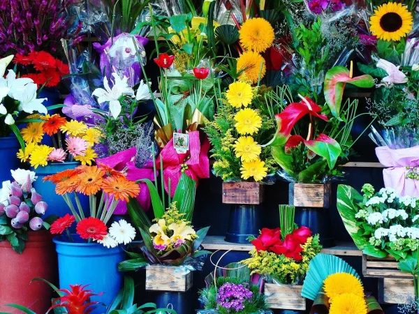 “El sector de flores y regalos afronta el reto de una transformación digital acelerada” 1 Merca2.es La digitalizacion tambien ha llegado al mundo de las flores Merca2.es