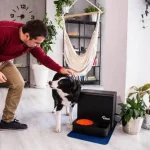 La tecnología para mascotas o pet tech será el sector de mayor expansión en Europa, con un crecimiento anual del 20,7%