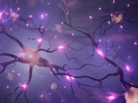 Neuronas nuevas cada día