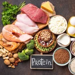 Sandra Moñino (29 años), dietista y nutricionista: «La proteína en menopausia es esencial muchas veces no perdemos peso porque nos falta proteína»