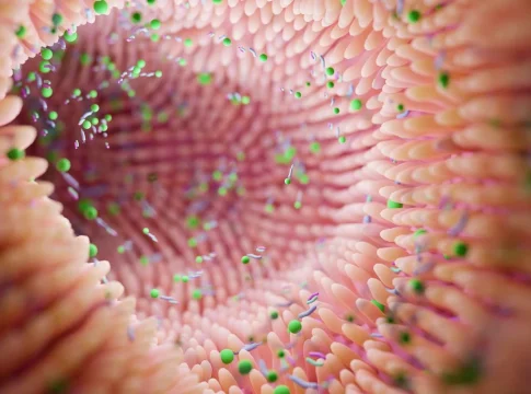 Salud natural Microbiota sana