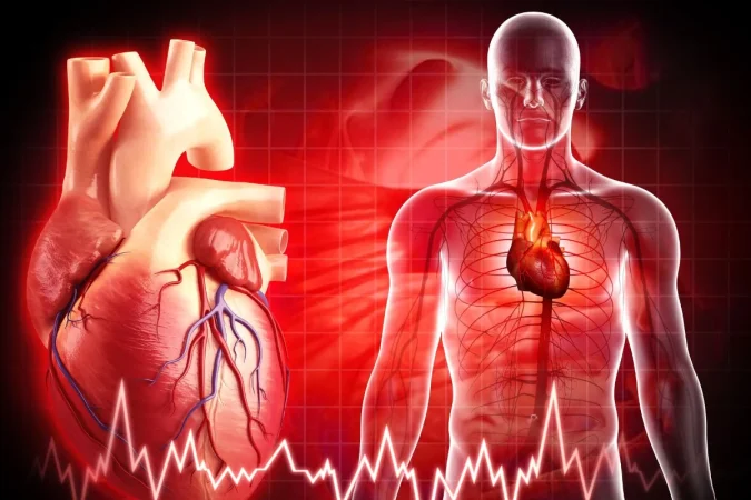 Stephen Hussey (34), doctor e investigador: “El mayor mito sobre la salud cardíaca es que el colesterol causa las enfermedades del corazón. No hay evidencia sólida de eso”. 1 Merca2.es colesterol