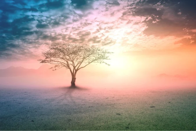 El test muscular de Hawkins: el experimento que demuestra que el cuerpo detecta la verdad y la mentira 2 Merca2.es Sanar68 Merca2.es