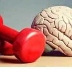 El músculo que determina cuánto vas a vivir (y no es el corazón)