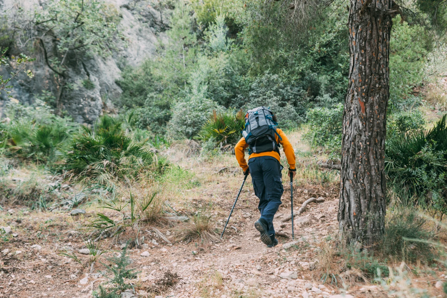 Exploramos las potentes ventajas del rucking que lo han convertido en el entrenamiento de moda para miles de españoles que buscan resultados visibles y duraderos. Fuente: Freepik 
