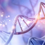 Johannes Carolus Clevers (68), genetista molecular: “Los organoides pueden predecir si un paciente responderá a un fármaco”