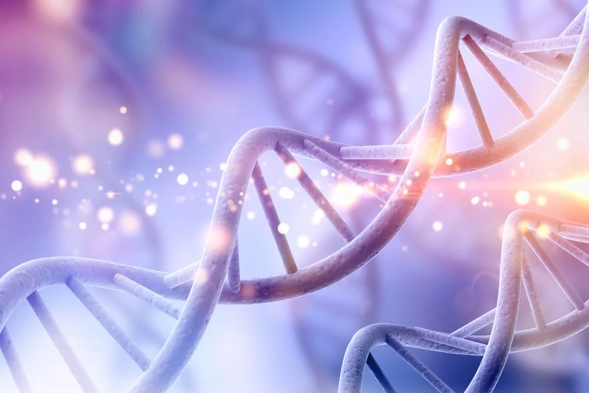 Hans Clevers y la revolución silenciosa de los organoides