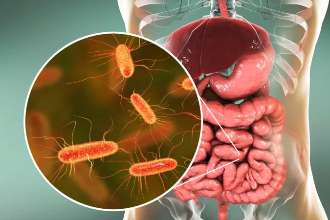 Azúcares que curan (no engordan): los gliconutrientes que bloquean patógenos y activan tu sistema inmune 2 Merca2.es gliconutrientes