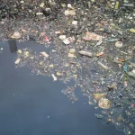 Nicolás Olea (70), médico e investigador: “Lo más abundante hoy en el intestino de cualquier persona no son bacterias, son microplásticos”