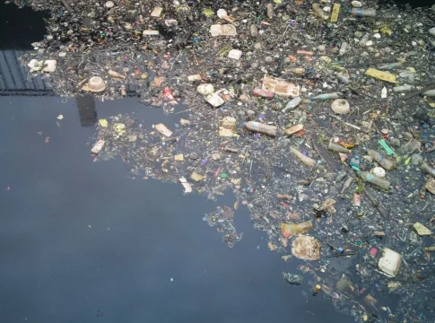 Contaminados369 Disruptores endocrinos