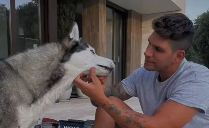 La decisión que ha tomado Diego Matamoros tras descubrir que han envenenado a su perro 6 Merca2.es Diego Matamoros con su perro Merca2.es