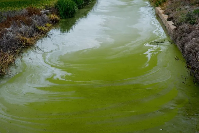 Dr. Alejandro Junger (61), cardiólogo y experto en desintoxicación: “La especie humana nunca se había enfrentado a tanta toxicidad como ahora” 4 Merca2.es El arte de desintoxicar cuerpo y mente Merca2.es