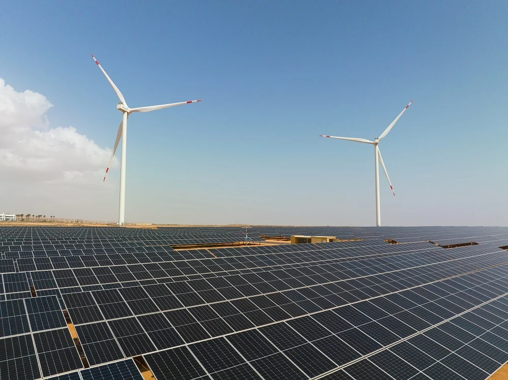 FV Puerto del Rosario Merca2.es