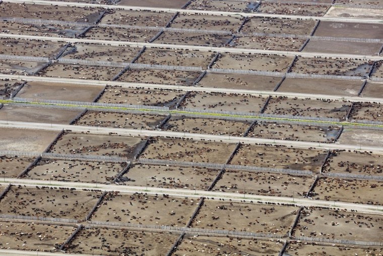 Estudio internacional revela el impacto de la ganadería industrial en las metas climáticas