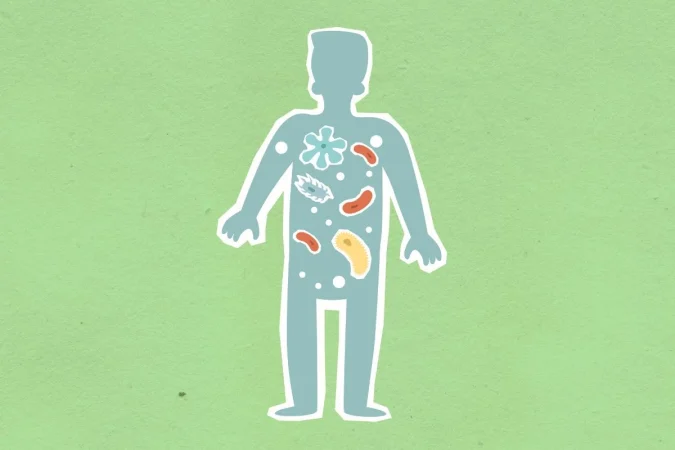 Azúcares que curan (no engordan): los gliconutrientes que bloquean patógenos y activan tu sistema inmune 4 Merca2.es Microbioma humano Merca2.es