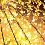 Un pueblo para iluminarlo todo: la alegría de esta edición de la competición de Ferrero Rocher