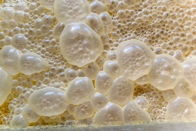 fermentados887 Merca2.es